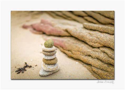  ¡Qué es la Serpiente Quiberon y por qué deberías conocer su historia?