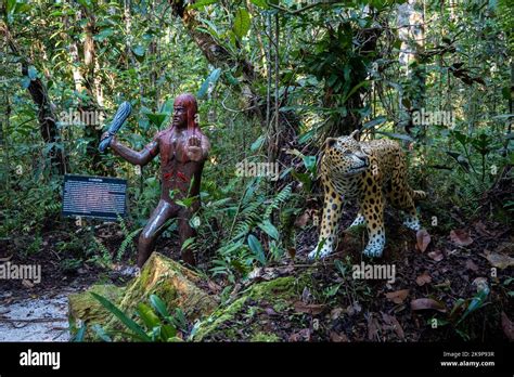  El Curupira: Un Espíritu Protector y Travieso de la Selva Amazónica